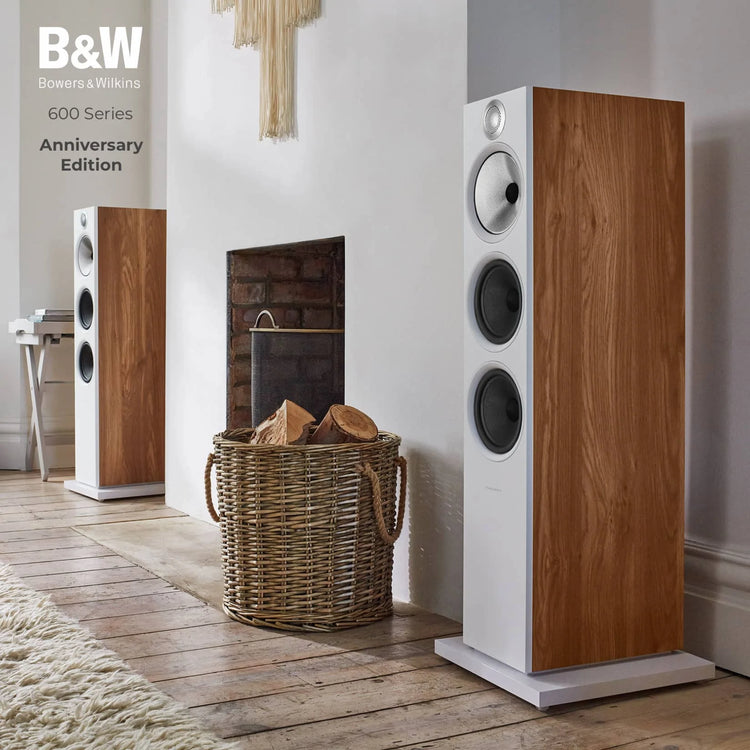 Floor Standing Speakers